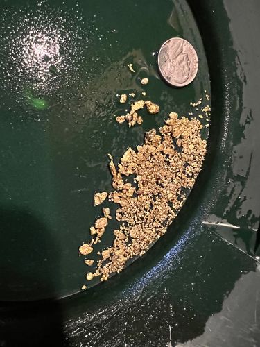 Customer photo review of Dutchman's 'SECRET NUGGET' Gold Paydirt - Gold Prospecting Concentrate