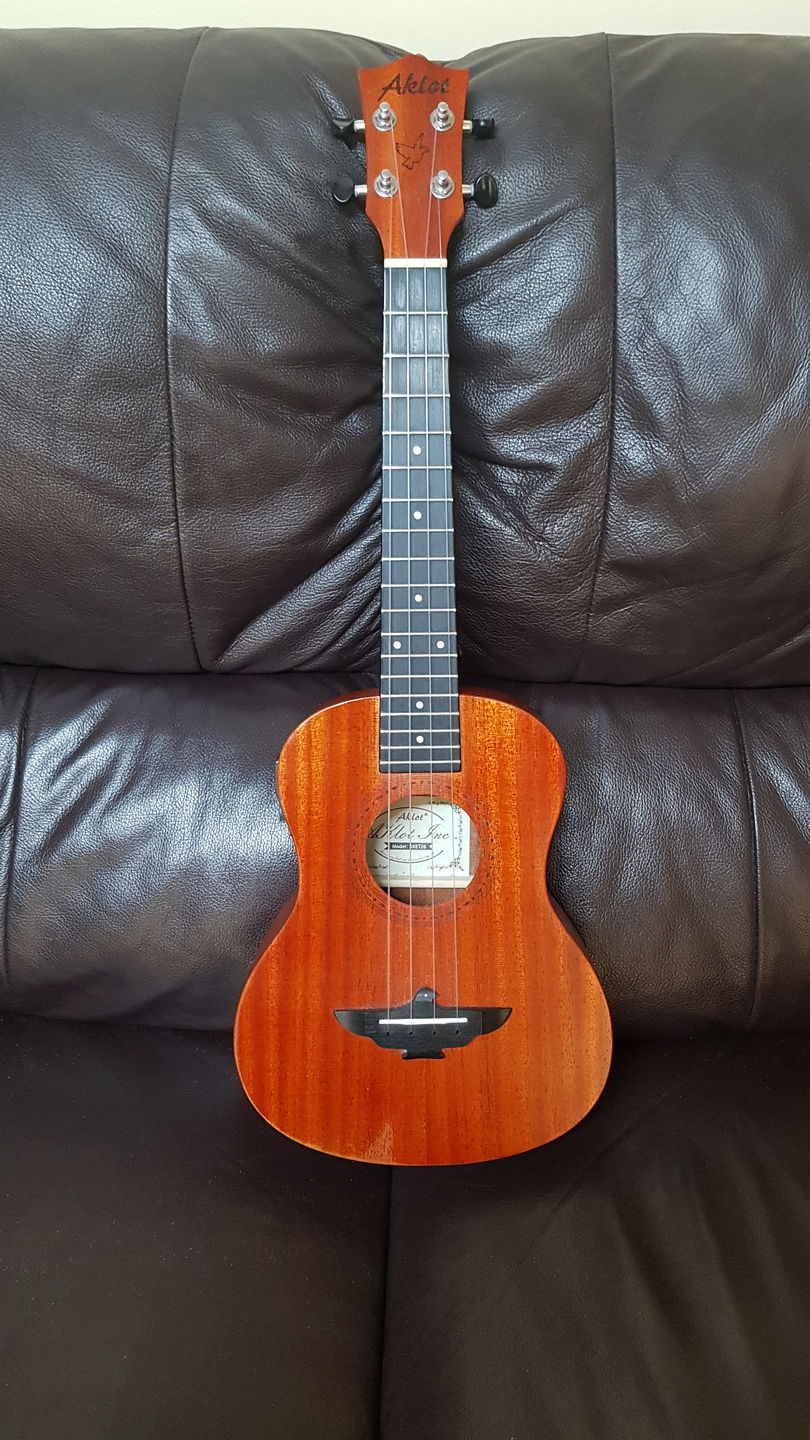 Customer photo review of CT-LG Worth Clear Low G Tenor Ukulele Strings Fluorocarbon 2 Restrings per Packet