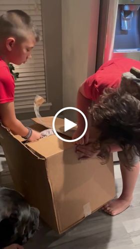 Customer video review of Create A Custom Animal Pillow