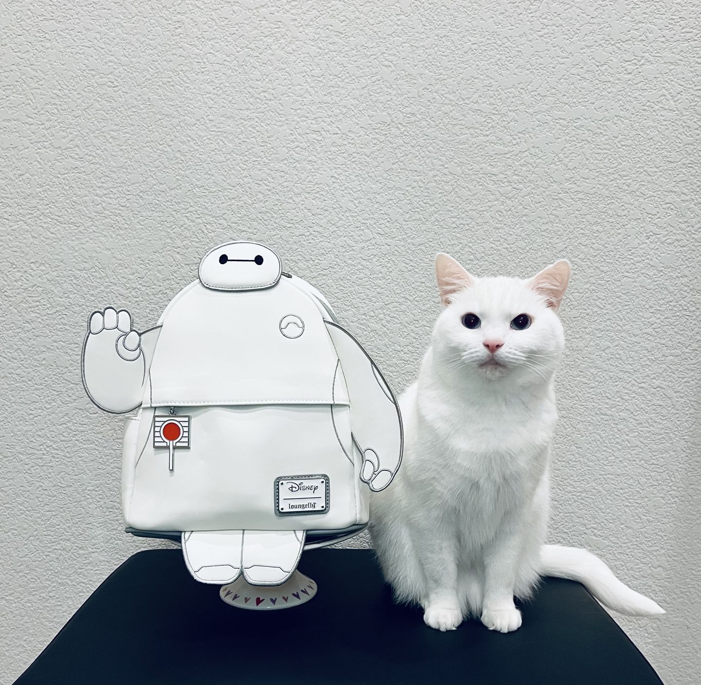 Customer photo review of 707 Street Exclusive - Loungefly Disney Glow in the Dark Talking Baymax Mini Backpack - December Preorder