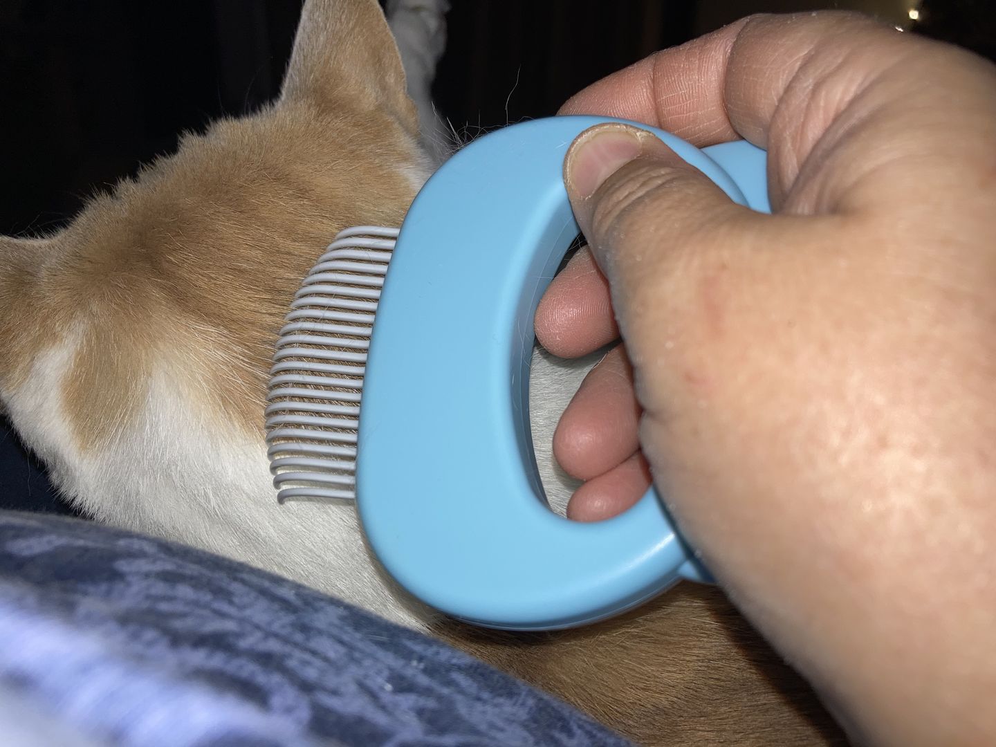 Customer photo review of Cat Hair Removal Massaging Shell Comb
