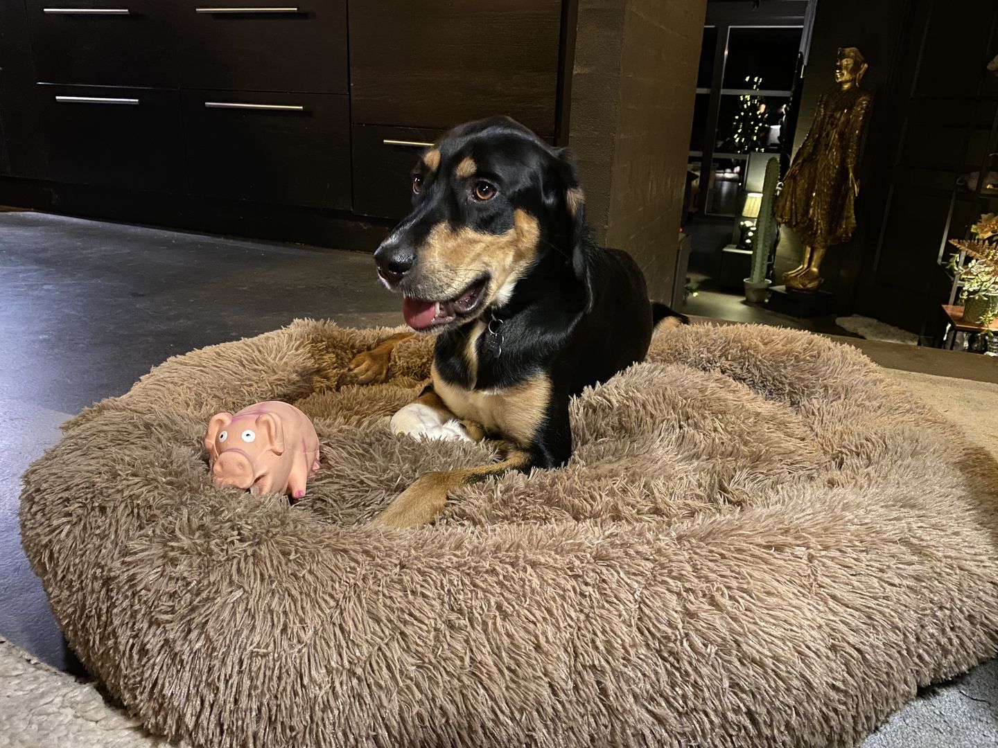 Customer photo review of THE ORIGINAL - Donut hundeseng (brun)