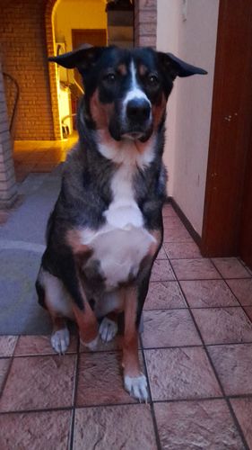 Customer photo review of Relax Time