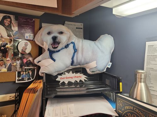 Customer photo review of Create A Custom Dog Pillow