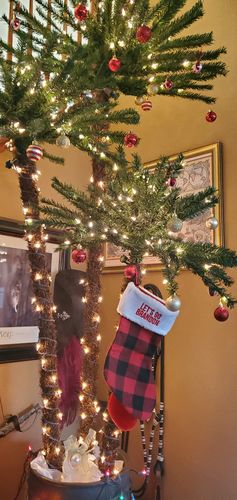 Customer photo review of Let's Go Brandon Epic Christmas Bundle