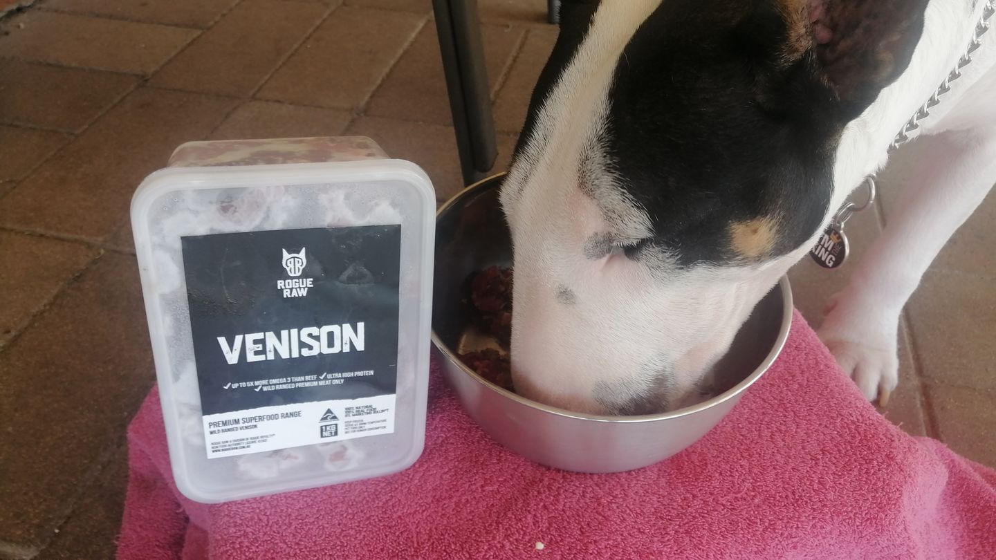 Customer photo review of Primal Venison - Raw Free ranged for dogs and cats