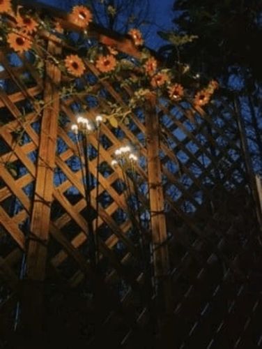 Customer photo review of Solar Powered Firefly Lights- BUY 3 FREE SHIPPING