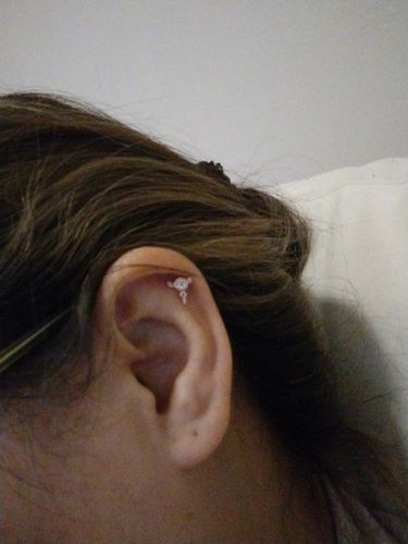 Customer photo review of Piercing Llave de Sakura