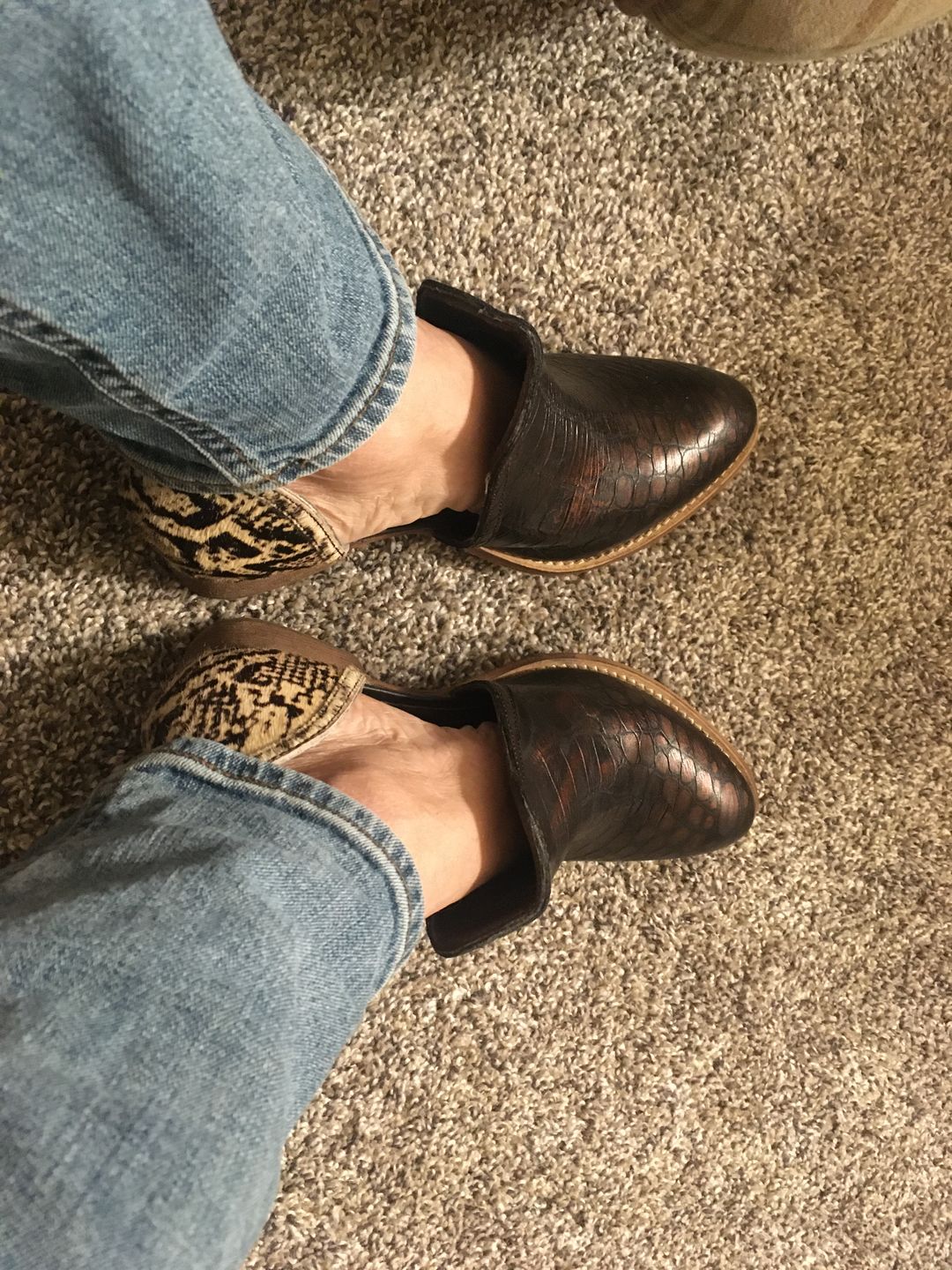 Customer photo review of Shy Town