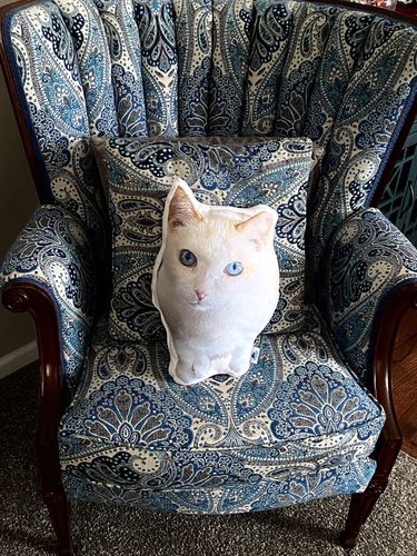 Customer photo review of Create A Custom Cat Pillow