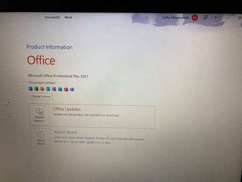 Customer photo review of Microsoft Office Professional Plus 2019 - License