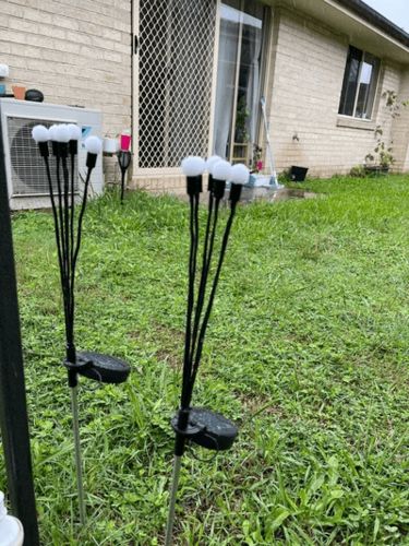 Customer photo review of Solar Powered Firefly Lights- BUY 3 FREE SHIPPING