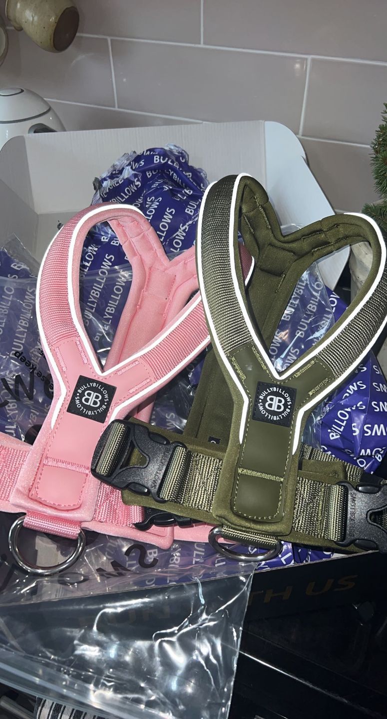 Customer photo review of RR - Slip on Padded Comfort Harness | Non Restrictive & Reflective - Khaki