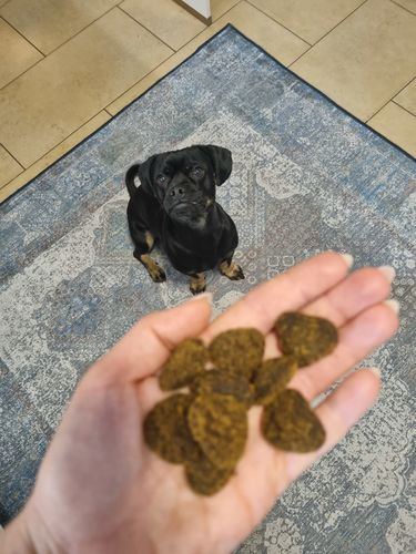 Customer photo review of Lucky Belly