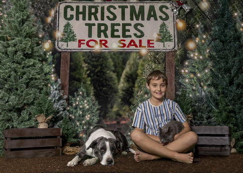 Customer photo review of Kate Christmas Tree Backdrop for Photography