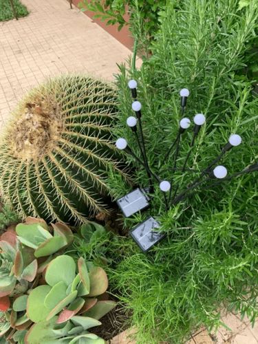 Customer photo review of Solar Powered Firefly Lights- BUY 3 FREE SHIPPING