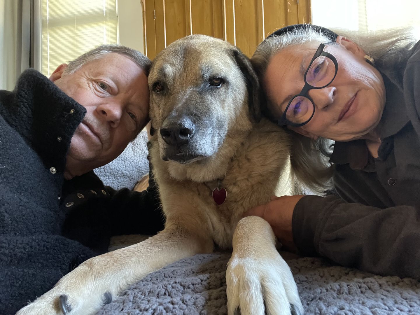 Customer photo review of WALK-EASY Extra Strength Arthritis and Joint Pain Relief
