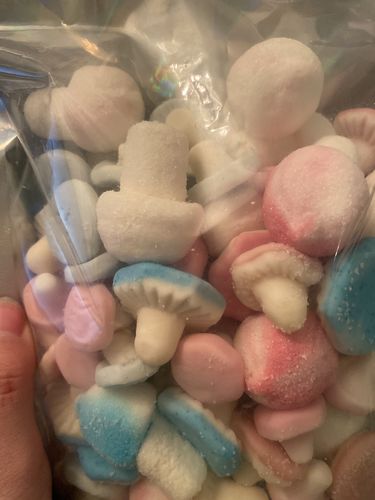 Customer photo review of Mushroom Mix