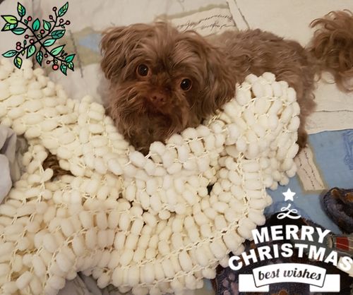 Customer photo review of Flyer Willkommen in der mammaly family