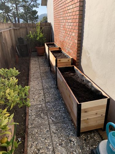 Customer photo review of 18" x 60" Planter Box - 24" Tall