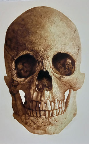 Customer photo review of Classroom in a Box: Skull project - (no paint or tools)