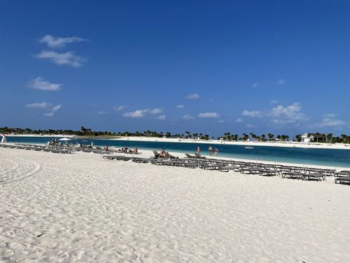 Customer photo review of Christmas Lights