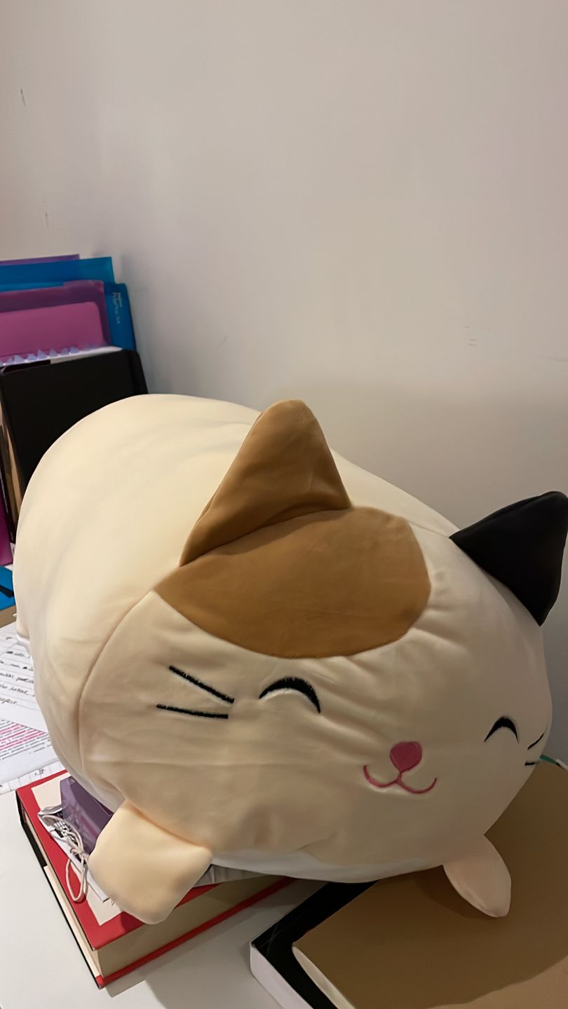 Customer photo review of Animal Pillow