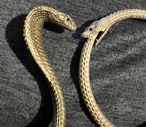 Customer photo review of Ouroboros Bracelet