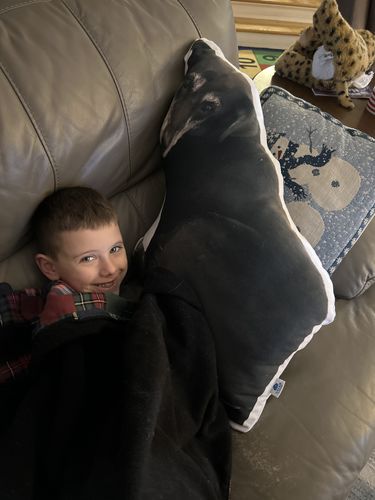 Customer photo review of Create A Custom Dog Pillow
