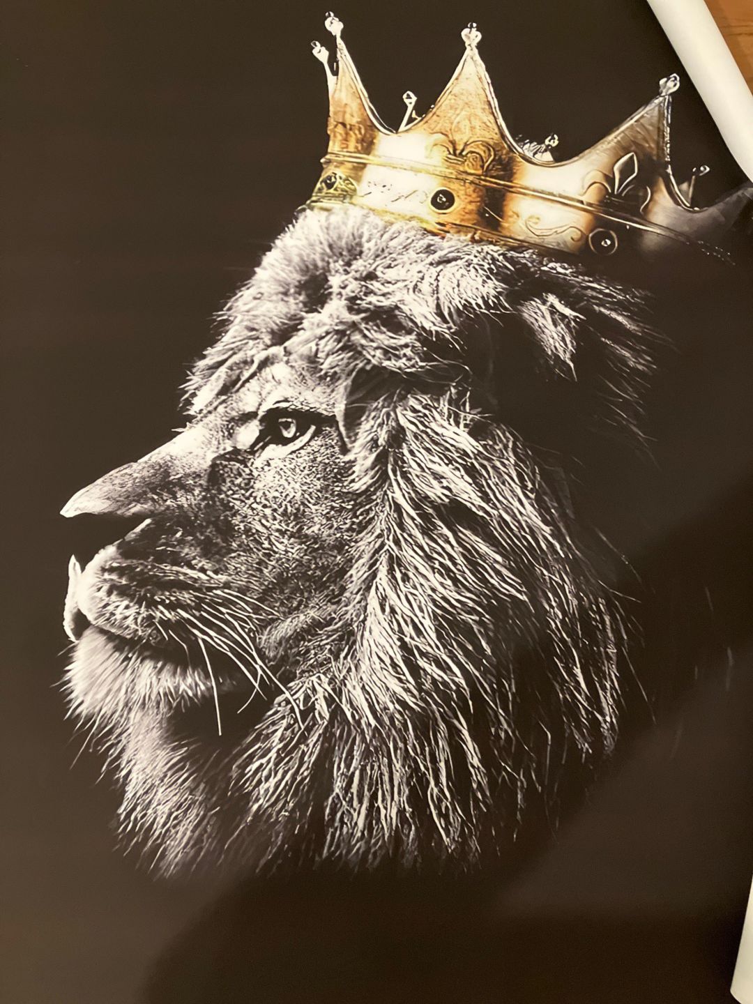 Customer photo review of Toile - Royalty Lion