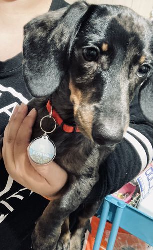 Customer photo review of Explorer