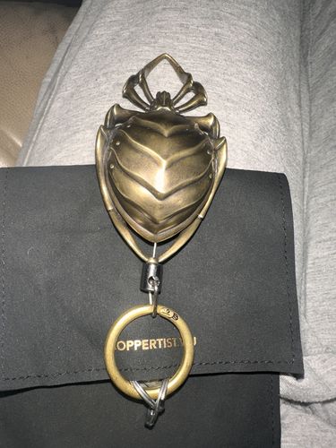 Customer photo review of Spider Retractable Keychain