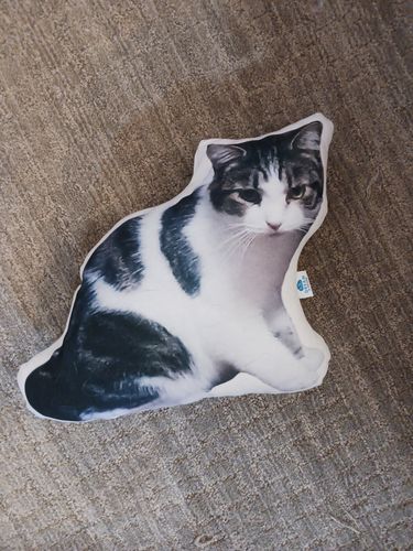 Customer photo review of Create A Custom Cat Pillow