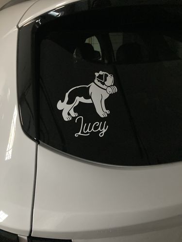 Customer photo review of Custom Name Female St Bernard Dog Decal-Script