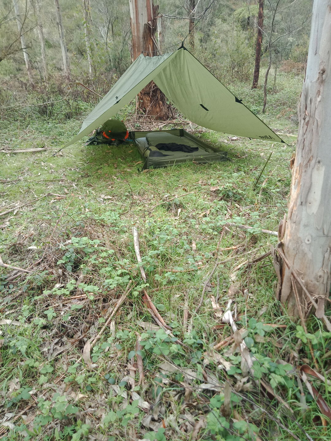 Customer photo review of Ultralight Pillow