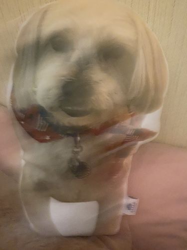 Customer photo review of Create A Custom Dog Pillow