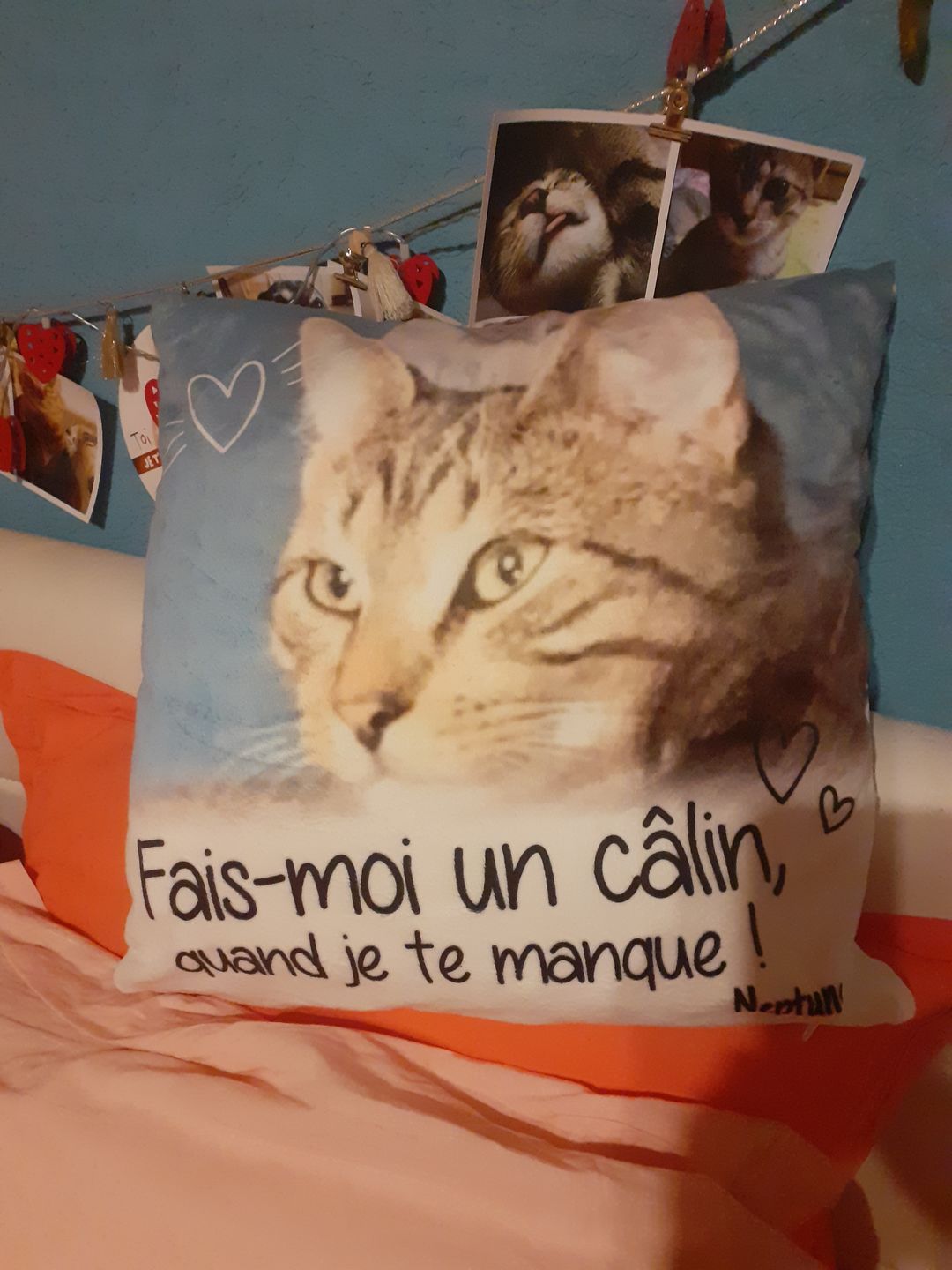 Customer photo review of Fais moi un câlin quand je te manque - Coussin personnalisé