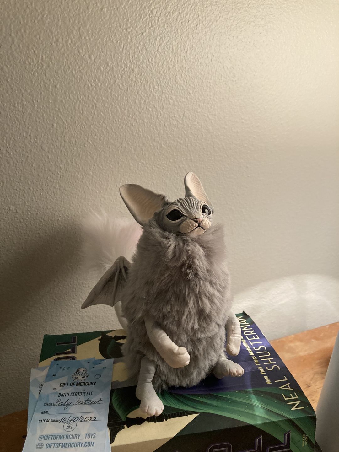 Customer photo review of Baby batcat