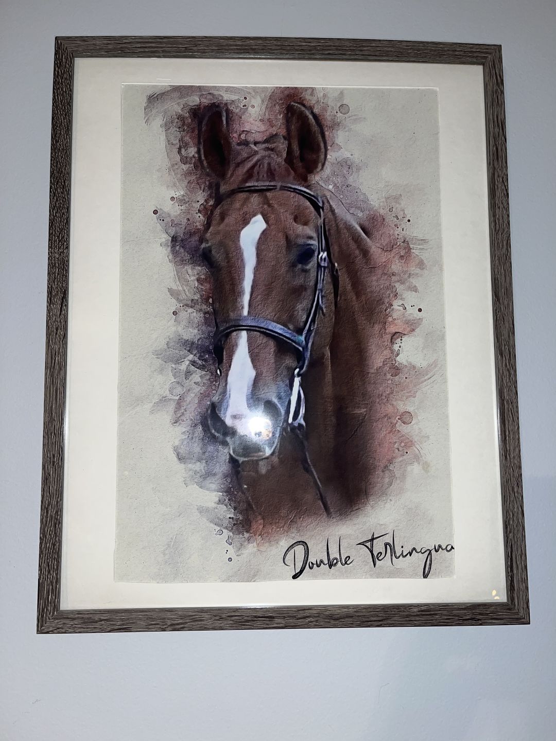 Customer photo review of Personalized Horse portrait