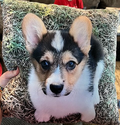 Customer photo review of Create A Custom Dog Pillow