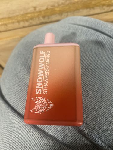 Customer photo review of Snowwolf Max 6000