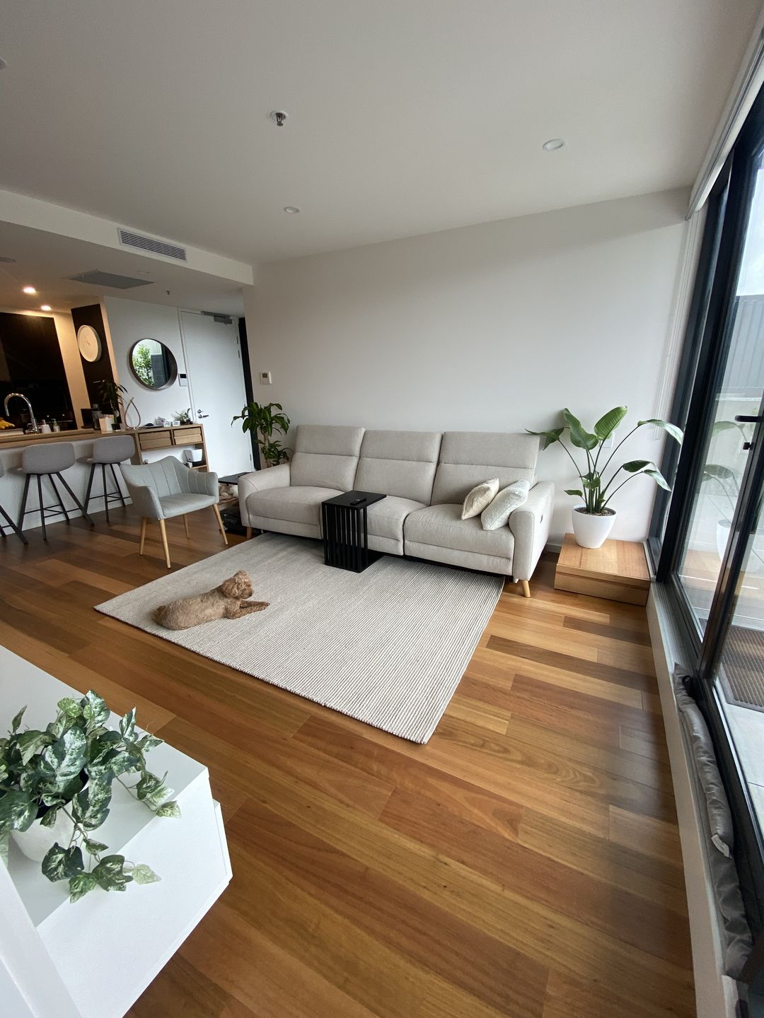 Customer photo review of Astro Natural Wool Rug