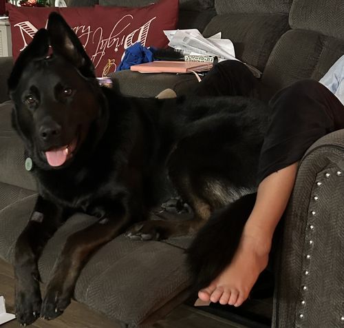 Customer photo review of Green Silicone