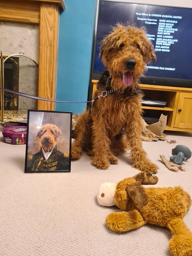 Customer photo review of The General: Custom Pet Portrait