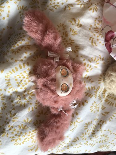 Customer photo review of Bunny Fantasy Blind Box
