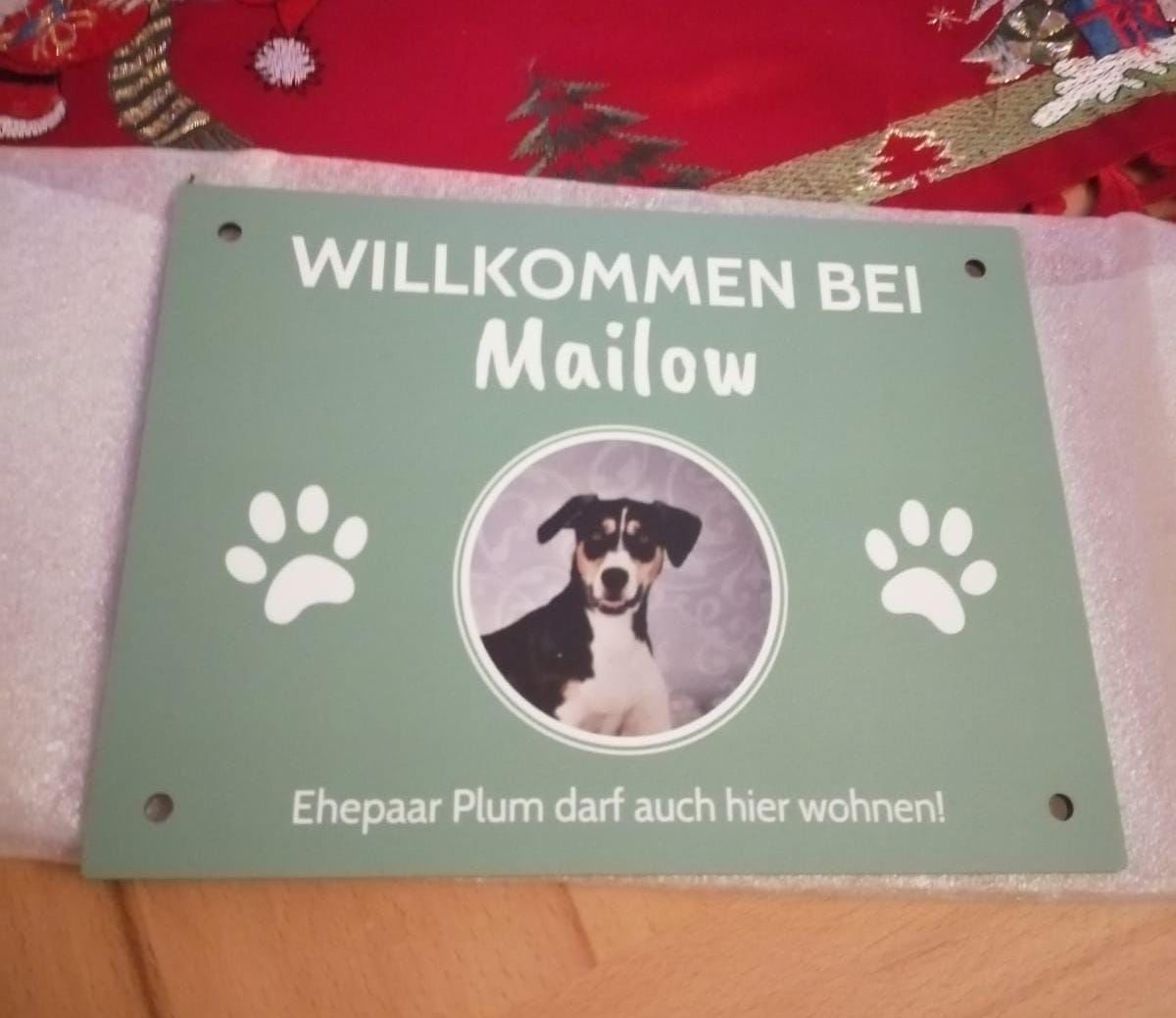 Customer photo review of Spähende Haustiere - Individuelles Türschild