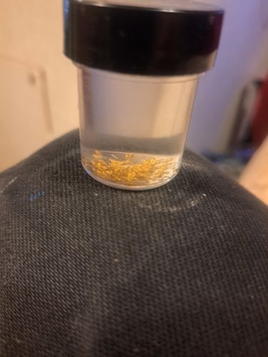 Customer photo review of Dutchman's 'SECRET NUGGET' Gold Paydirt - Gold Prospecting Concentrate