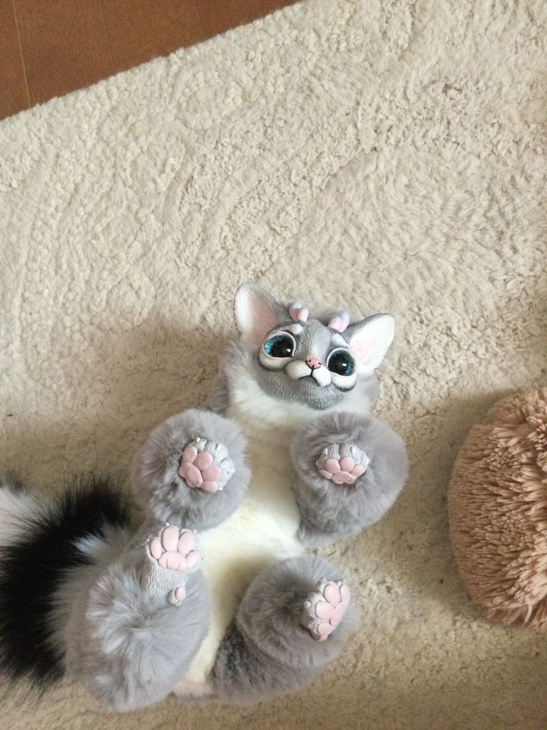 Customer photo review of Ring-tailed cat