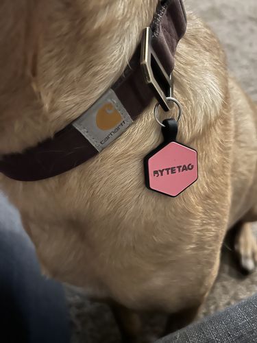 Customer photo review of Pink Silicone