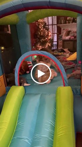 Customer video review of Inflatable Bouncy House with Slide & Blower